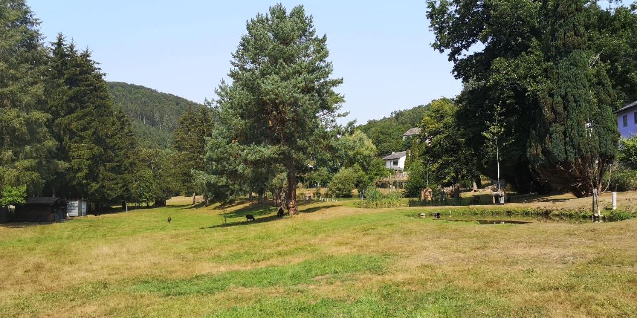Ferienhaus Kylltal Villa Zemmer ภายนอก รูปภาพ